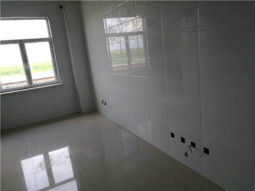 �����½���̖��